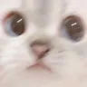 emoji_2 emoji_2