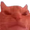 cangry