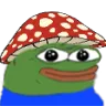 pepeMushroom pepeMushroom
