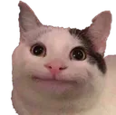 cat_bruh