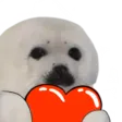seaL seaL