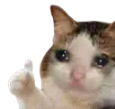 catthumbsup