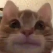 :stare2: