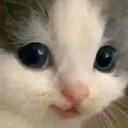 hehe hehe