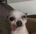 slyanddoomemoji_s
