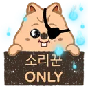 asignthunderousonly