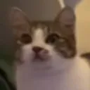 wat