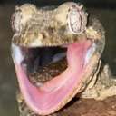 araggagga Discord emoji