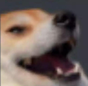 heheh_dog