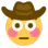 DGcowBoyFlushed DGcowBoyFlushed