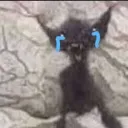 bro