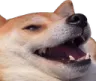 heh heh
