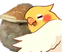 birbhugbuncake