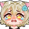 hoppuCrying hoppuCrying