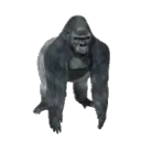 monkespin monkespin