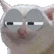 suscat