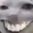 creepycat