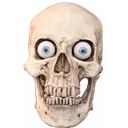skull