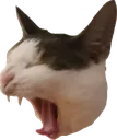 AAAAAAAAAAAAAAAAA AAAAAAAAAAAAAAAAA