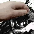 hicrawlerpet