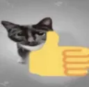 catawesome