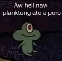 Planktonperc