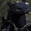 :CC_ToothlessLeaving: CC_ToothlessLeaving