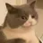:CC_Cat_Hmm: CC_Cat_Hmm