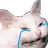 :CC_Cat_Cry: CC_Cat_Cry