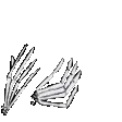 Clap