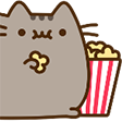 :pusheen: