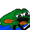sadgeSTEER