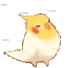 windbird windbird