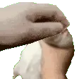 pettherat