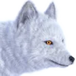 ArcticFoxC