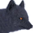 ArcticFoxB