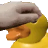 duckpat