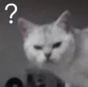 catthefck Discord Emoji