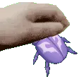 PetOnikabuto