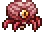 Spider_Brain