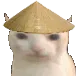 Chinacat Discord Emoji