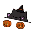 pumpBongo
