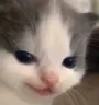 hehehehehehehe