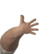 cellMao