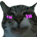 berryKAWAI