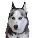 emoji_40