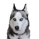 ella