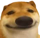 hehehe hehehe