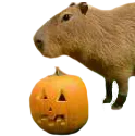 Capypumpkin