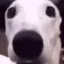 emoji_77
